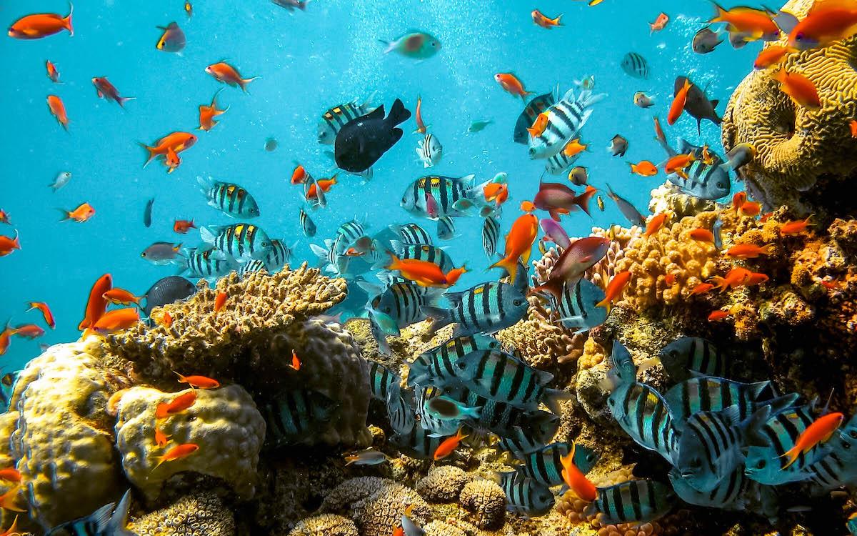 Antalya Aquarium