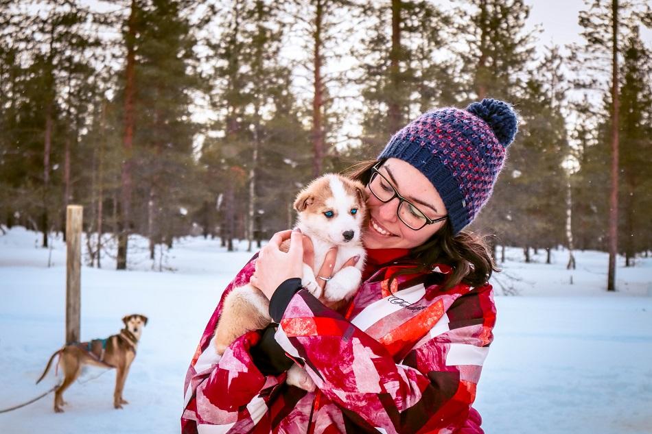 Girl holding a cute husky puppy in Lapland, Finland