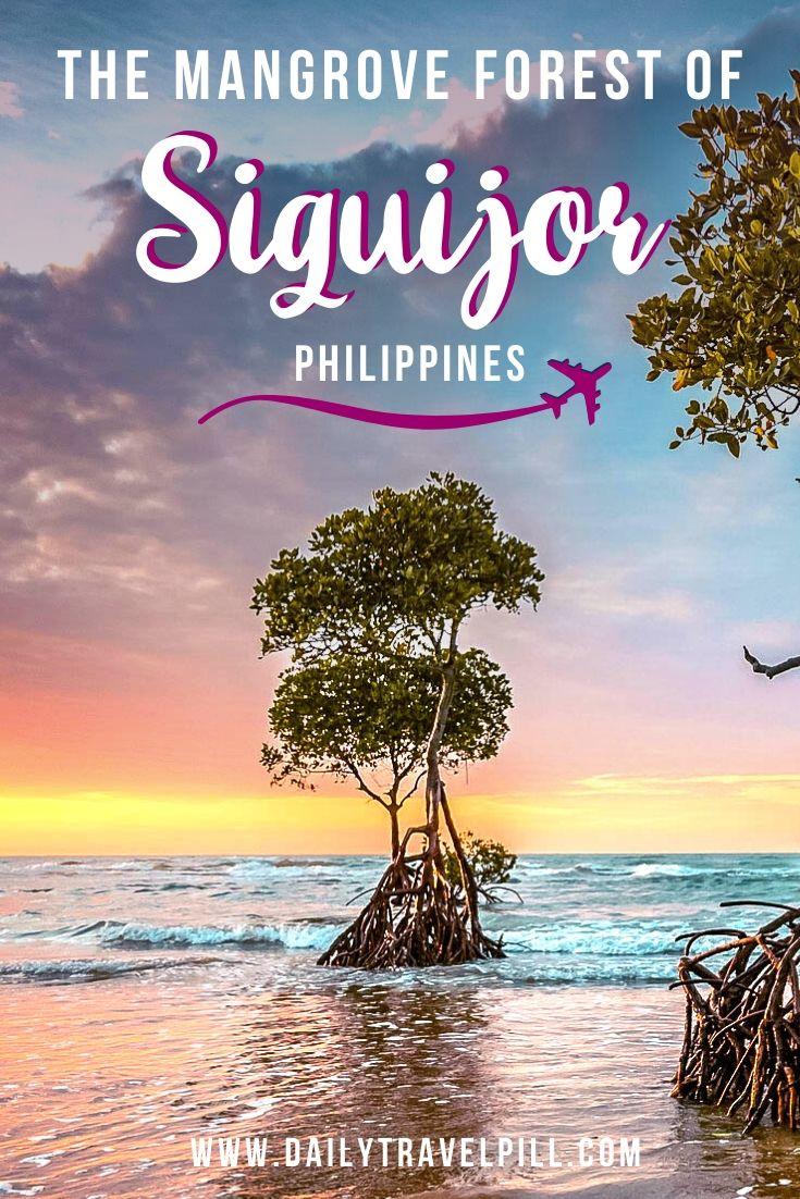 Siquijor Guiwanon Spring Park - Mangrove Forest