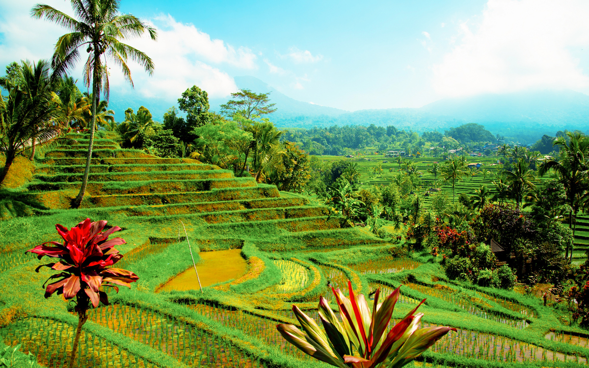secret places in bali, hidden places in bali, bali hidden gems, hidden gems in bali