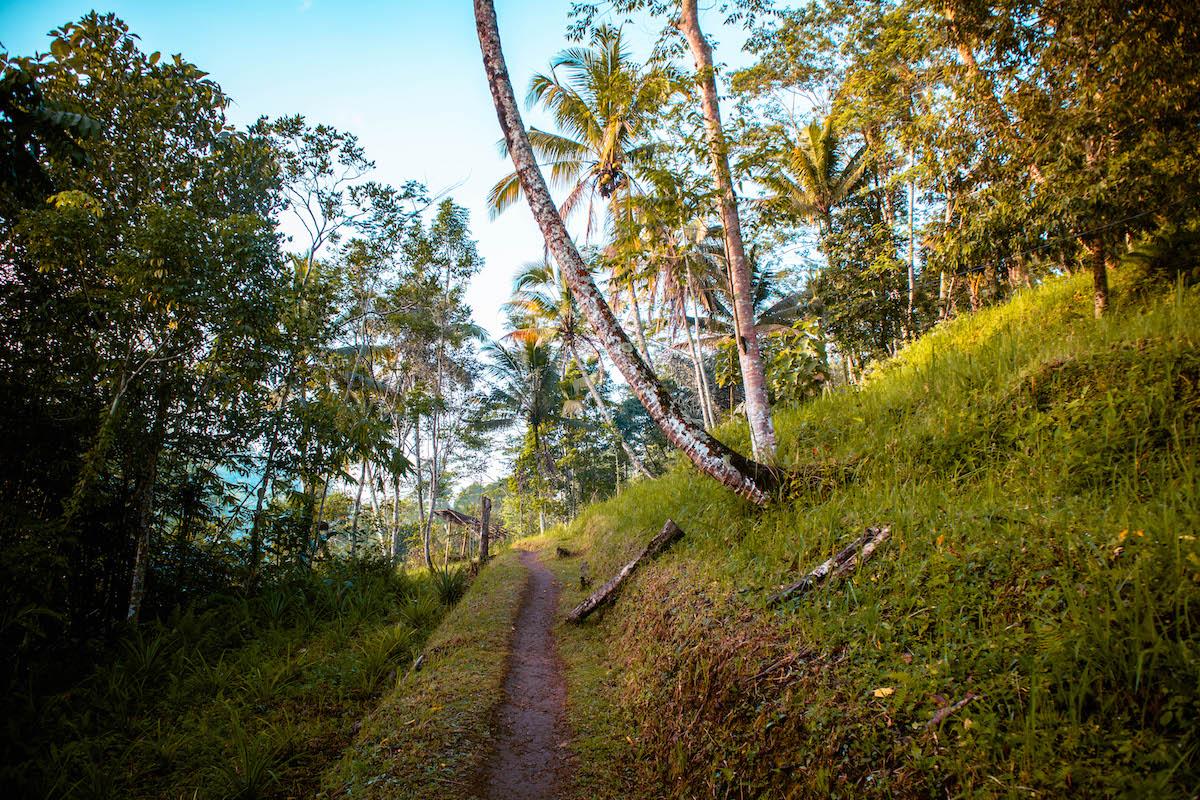 Leke Leke Waterfall Bali path into the jungle