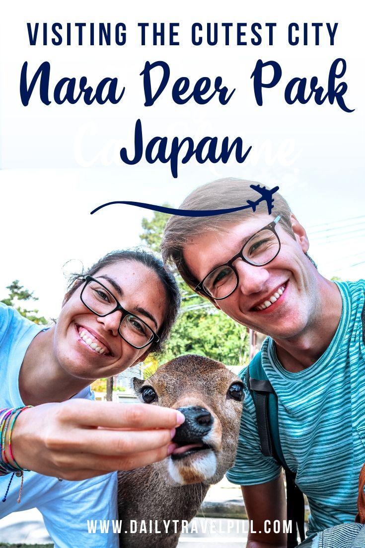 A day trip to Nara Deer Park, Japan