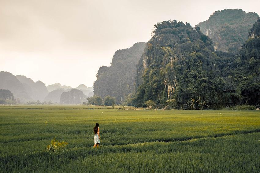 Ninh Binh rice fields and limestone mountains