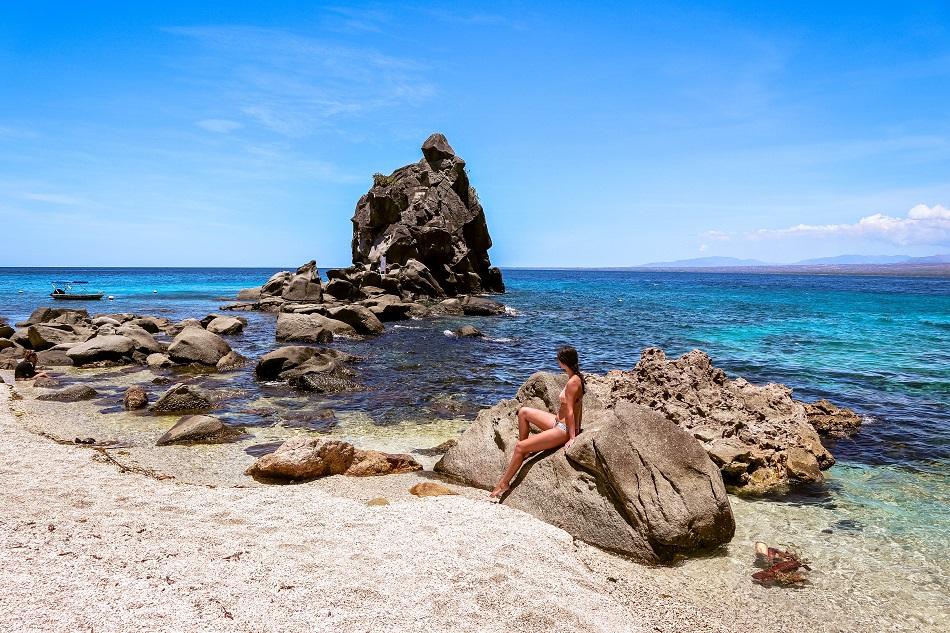 Apo Island Beach Resort