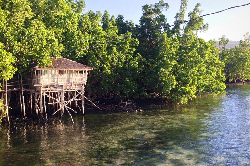 Guiwanon Spring Park - Siquijor Mangrove Forest