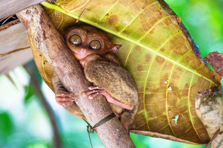 10 reasons why you shouldn't visit the Philippines